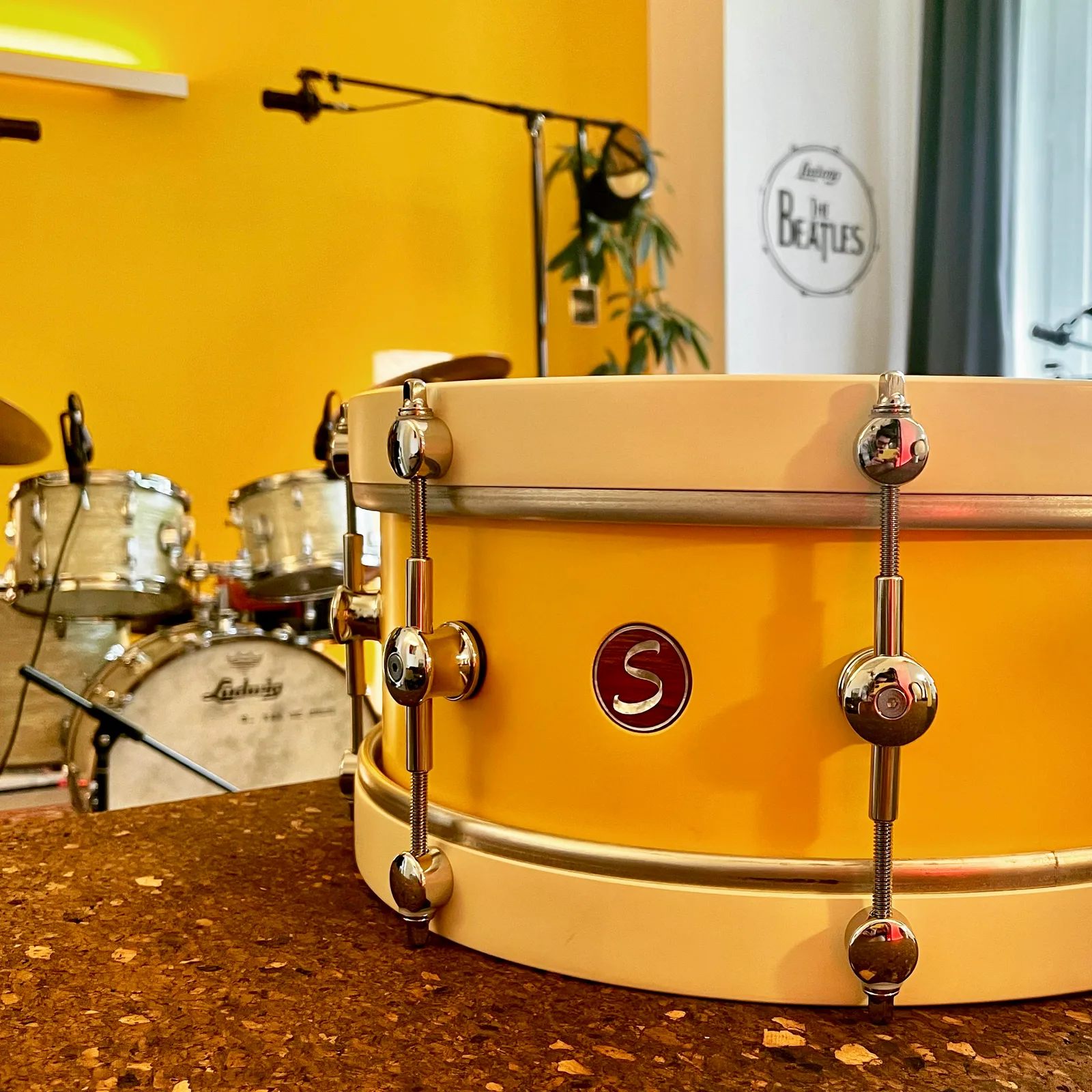 Sugar Percussion wood hoop snare in The Drum Vault, The Hague